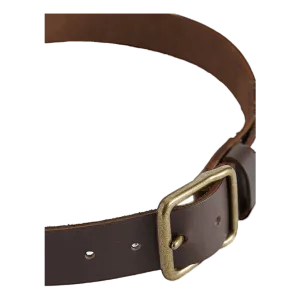 Belt Amber