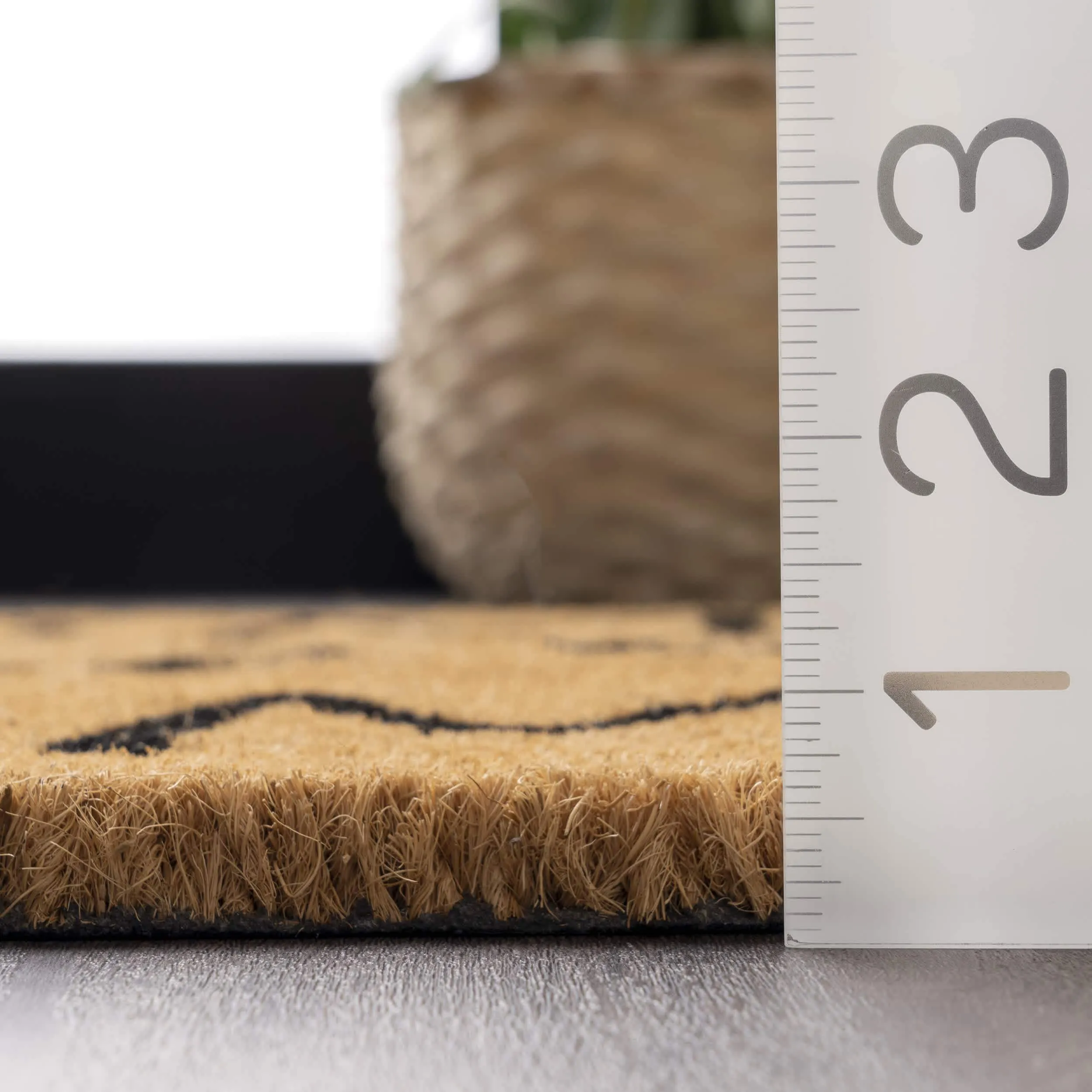 Home Sweet Home Coir Doormat