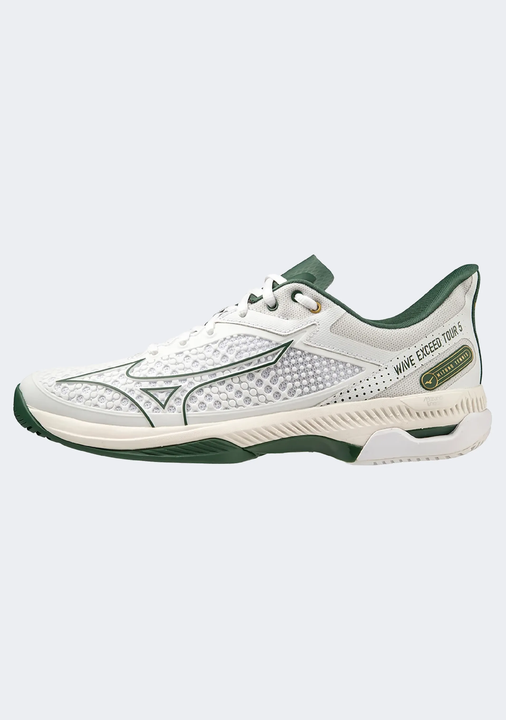 Mizuno Men's Wave Exceed Tour 5 AC