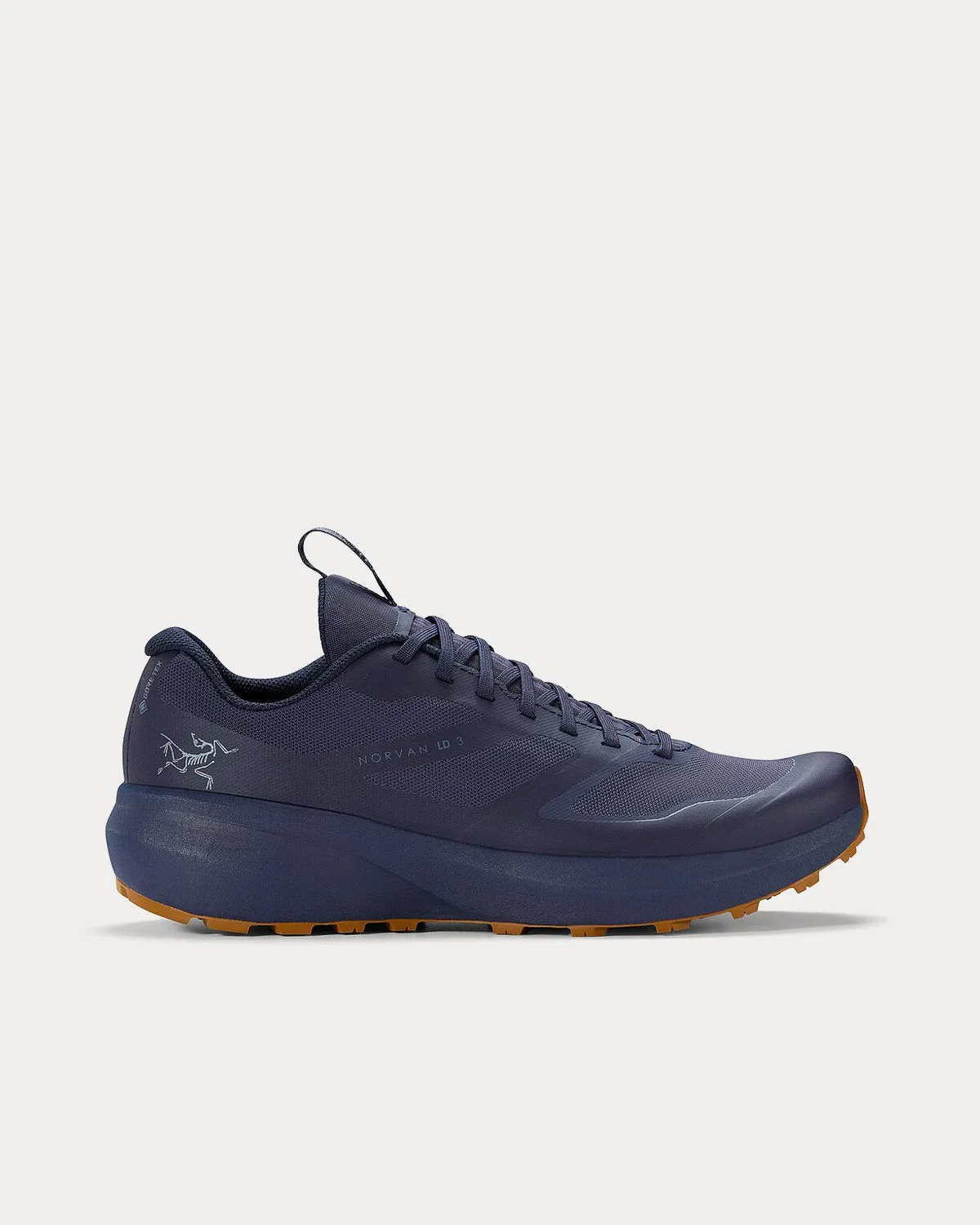 Norvan LD 3 GTX Black Sapphire / Relic Running Shoes