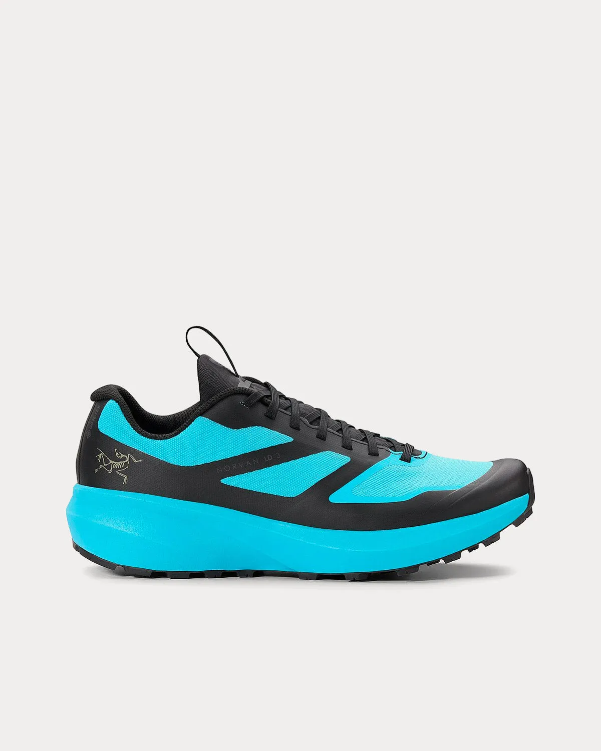 Norvan LD 3 GTX Cosmic Cyan / Light Forage Running Shoes