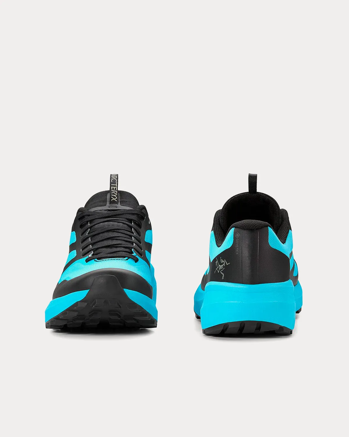 Norvan LD 3 GTX Cosmic Cyan / Light Forage Running Shoes
