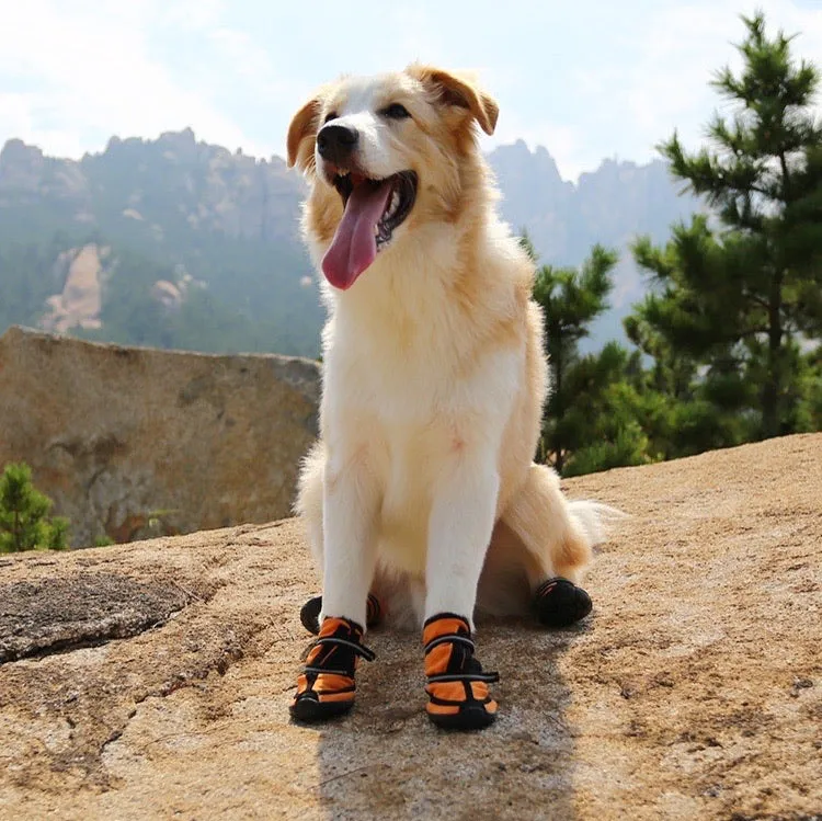 Winter High Boots Velcro for Medium to Large Dogs